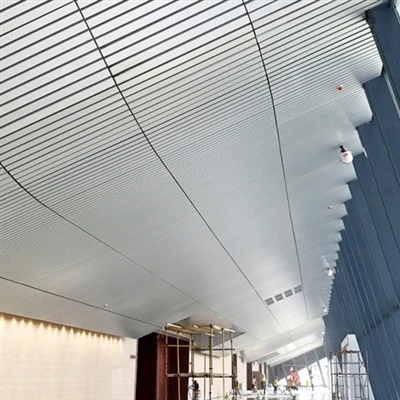 Vim li cas Aluminium Drop Ceilings zoo meej rau niaj hnub interiors